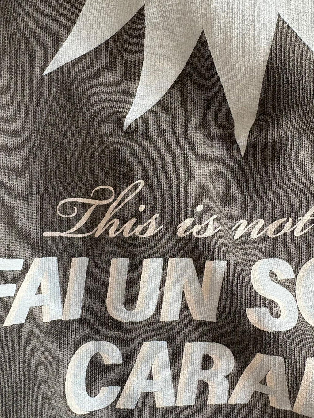 Chaqueta cremallera fai un sol de carallo