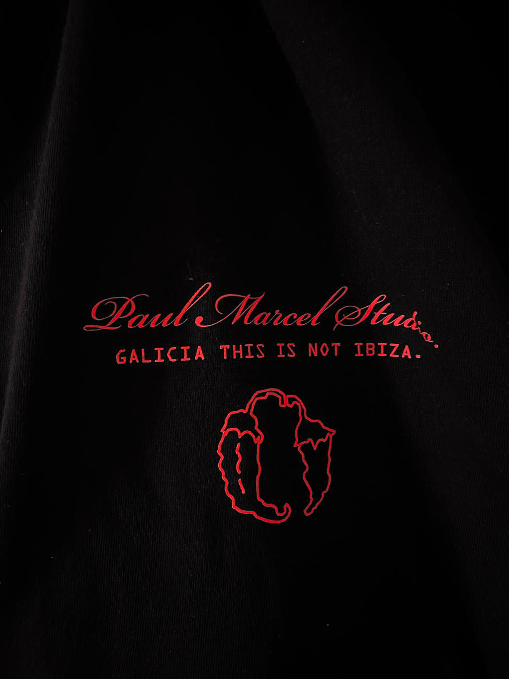 CAMISETA manga larga pemento