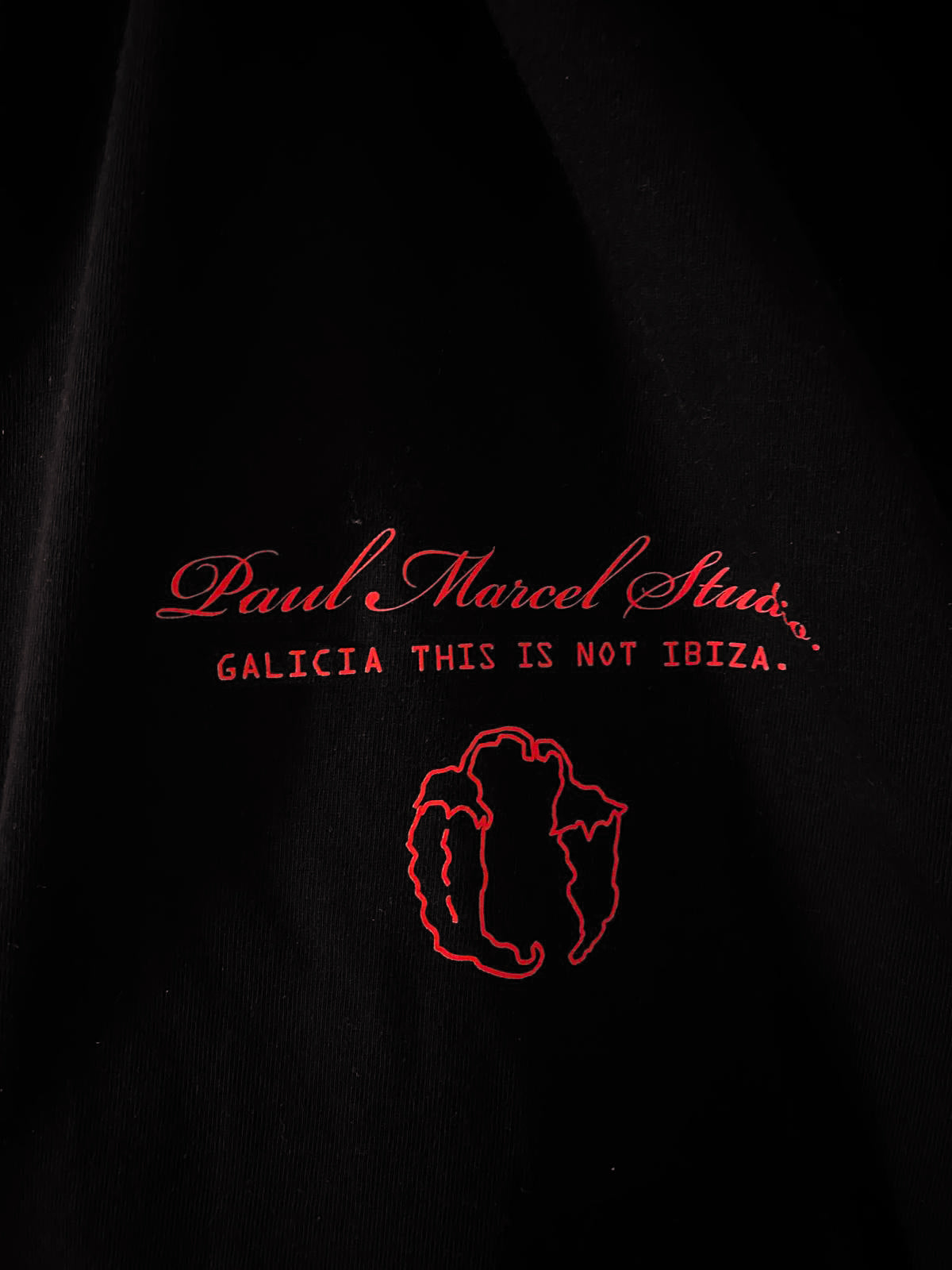CAMISETA manga larga pemento
