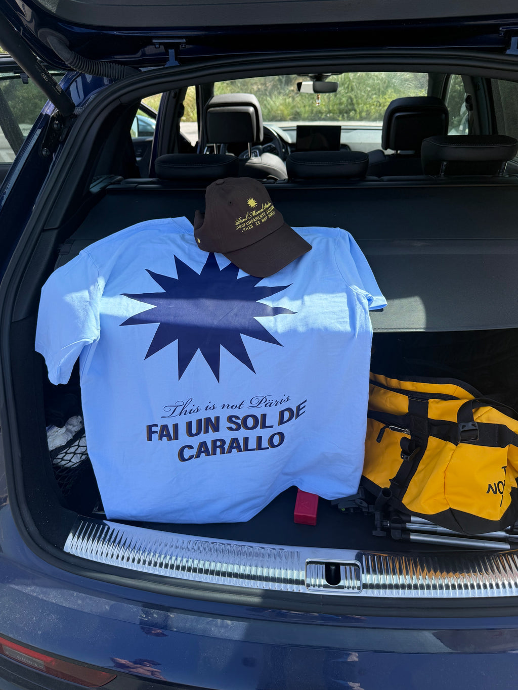 Camiseta azul fai un sol de carallo